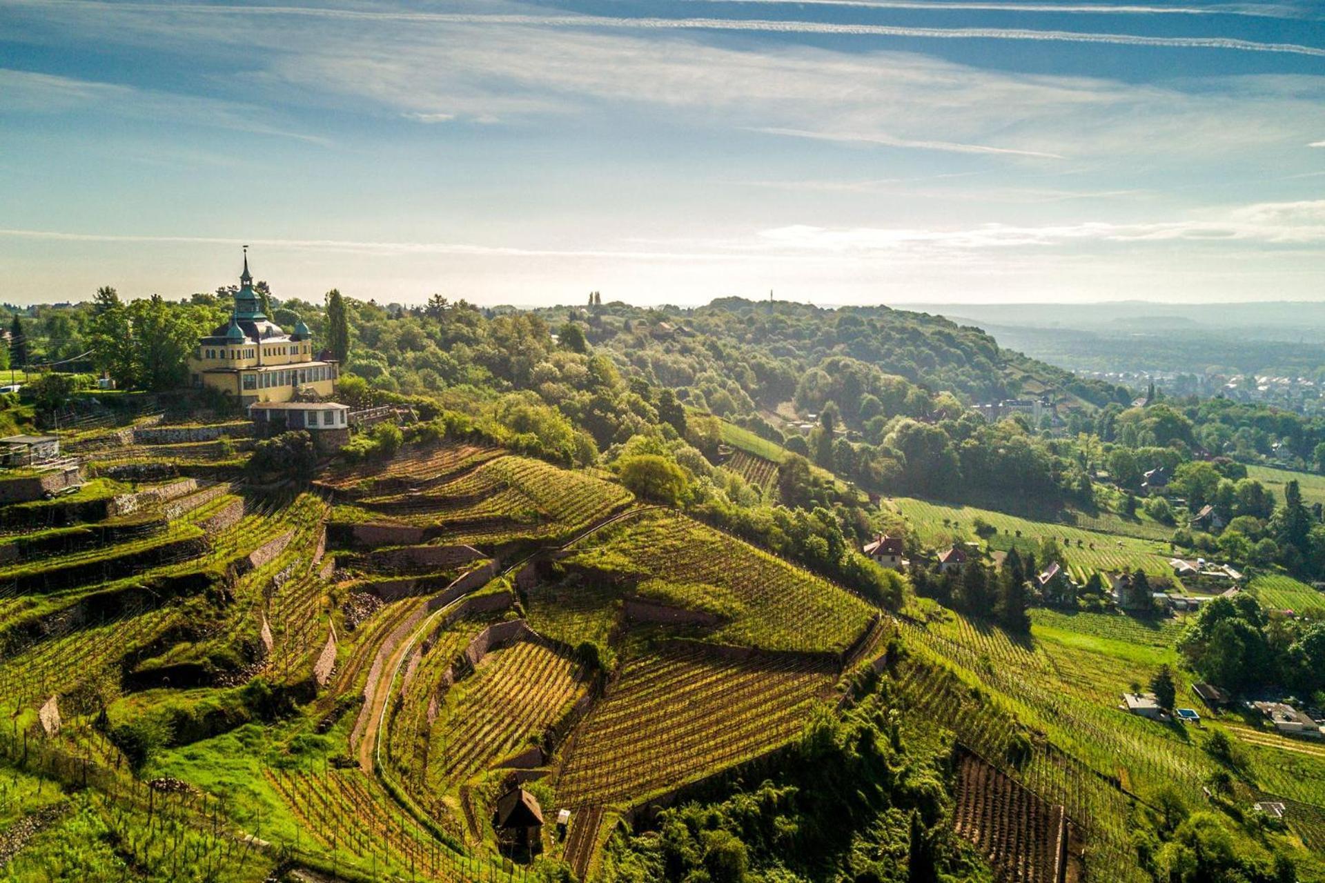Bambus, Jungle, Dachterrasse & Bequem Bis Zentrum Radebeul Bagian luar foto