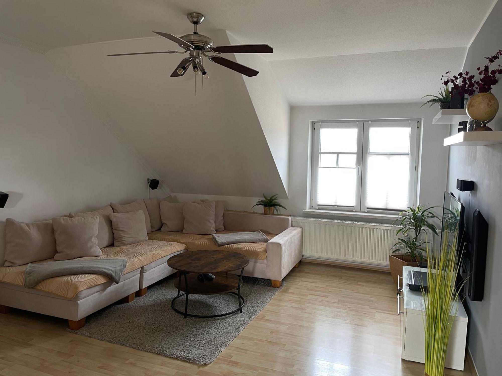 Bambus, Jungle, Dachterrasse & Bequem Bis Zentrum Radebeul Bagian luar foto